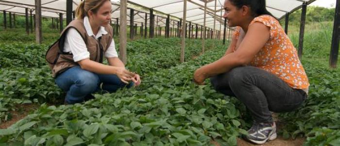 Serviço Social e Extensão Rural